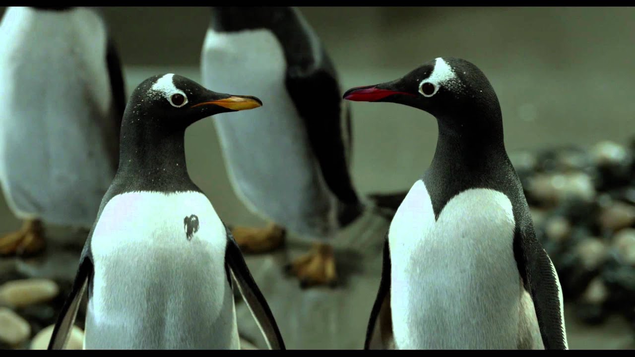 Mr. Popper's Penguins Trailer