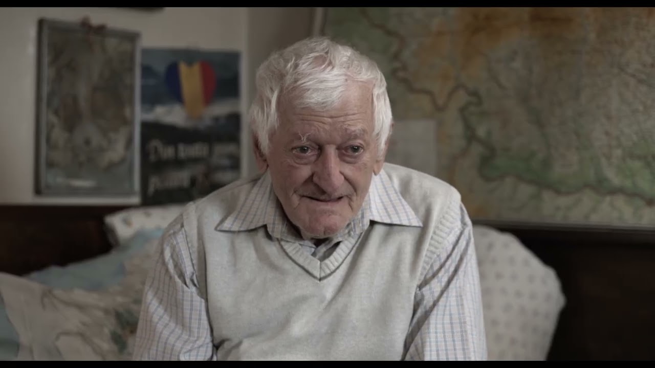 Spruce Forest Trailer